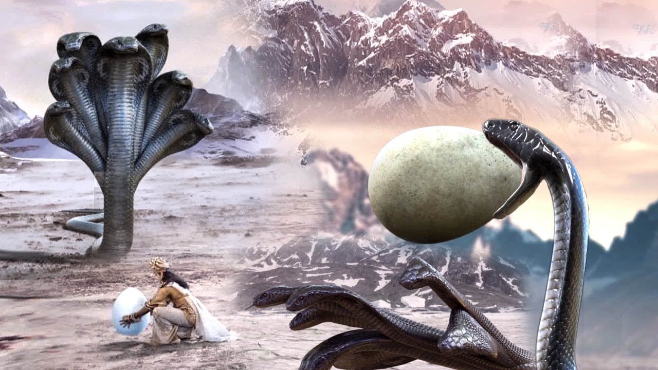 माया के कारण नाग और नागिन में युद्ध - अपने अंडे के साथ ऐसा नहीं होने दूंगा