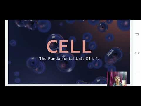 CELL - YouTube