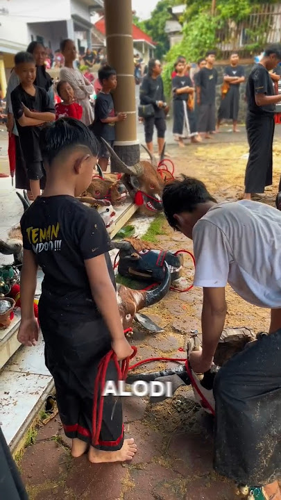 Dibikin asik aja🗿 #mberot #bantengan