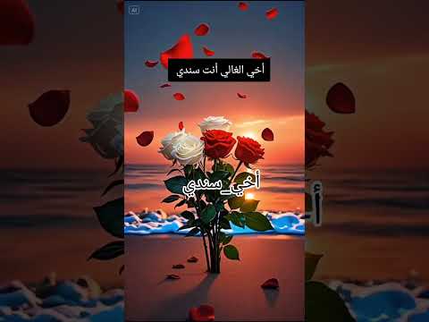 اخي الغالي انت سندي وحبيبي