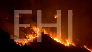Slash and burn agriculture
