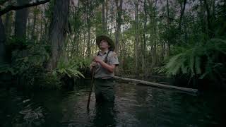 Publix Water Stewardship in the Everglades