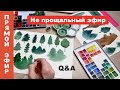 Q&A22. Не прощальный эфир. Про стоки, деньги, планы и котиков