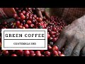 Green coffee beans for home roasting: washed Guatemala "strictly hard beans". Round and balanced.