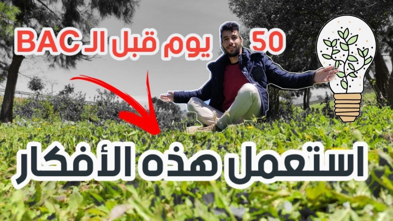 استعمل هذه الأفكار 50 يوما قبل البكالوريا 🔥✨