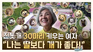 진돗개 30마리 키우는 여자?! 😲 “나는 딸보다 개가 좋다!” | KBS 속보이는 TV 인사이드 180802 방송