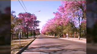 Recorrido por mi pueblo Aguaray salta