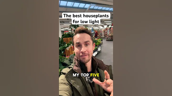 Indoors plants for low light #gardening