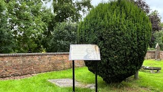 GRAVE OF UNITED IRISHMAN JAMES NAPPER TANDY CASTLEBELLINGHAM The Church History Trail
