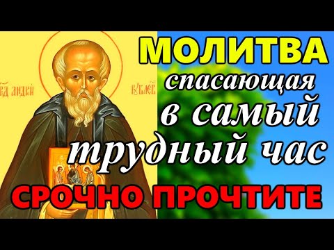 Video: Kakav Je Dan Velečasnog Andreja Rubljova U Moskvi