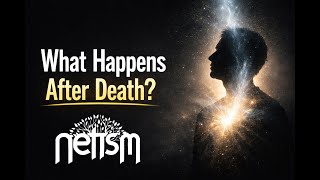 Does Consciousness Survive Death? Science, NDEs, and a New Framework