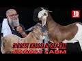Dhamaal Machayenge ye Khassi | JD Goat Farm