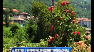 08/06/2015 - PRESTIGIOSO RICONOSCIMENTO INTERNAZIONALE AL ROSETO DI S. GIOVANNI