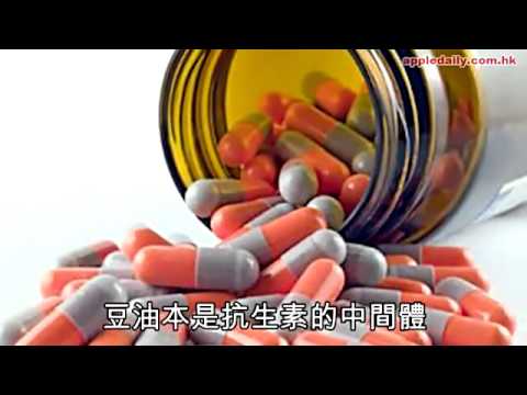 太太口服液廠　地溝油煉抗生素