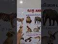 កខគឃង|កខគឃង2023|កខងឃងsong|កខគឃង|learn to speak khmer|learn khmer language.#viral #shorts #កខគឃង #កខ
