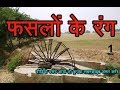 sangopang |  indian crops video | फसलों के रंग