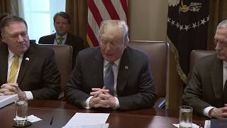 President Trump Hosts a Cabinet Meeting