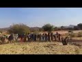 دارفــــــور تراث وحضارة