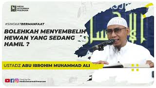 BOLEHKAH MENYEMBELIH HEWAN YANG SEDANG HAMIL ? | Ustadz Abu Ibrohim Muhammad Ali