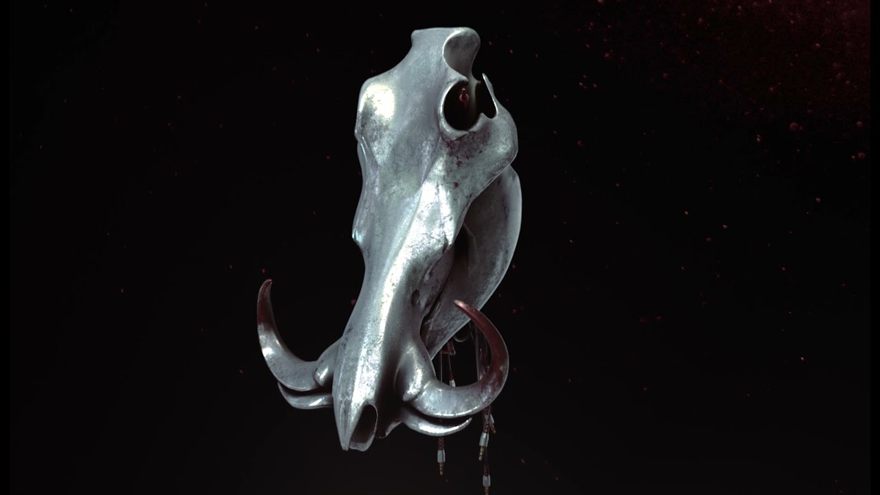 Sever The Boar's Head - Within Ourselves (Visualizer)