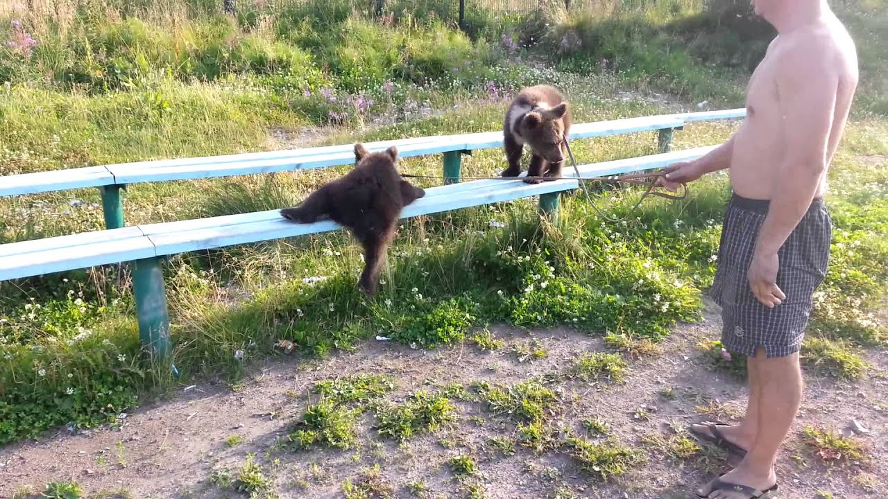 Знакомства Ревда Мурманская Область