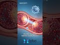 Smarter Drug Delivery to Improve Cancer Immunotherapy.