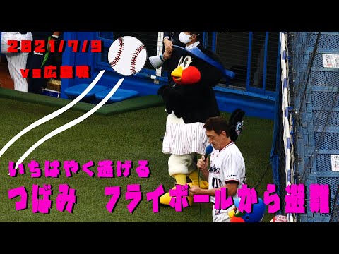 つばみ　フライボールからいちはやく避難　2021/7/9　vs広島カープ