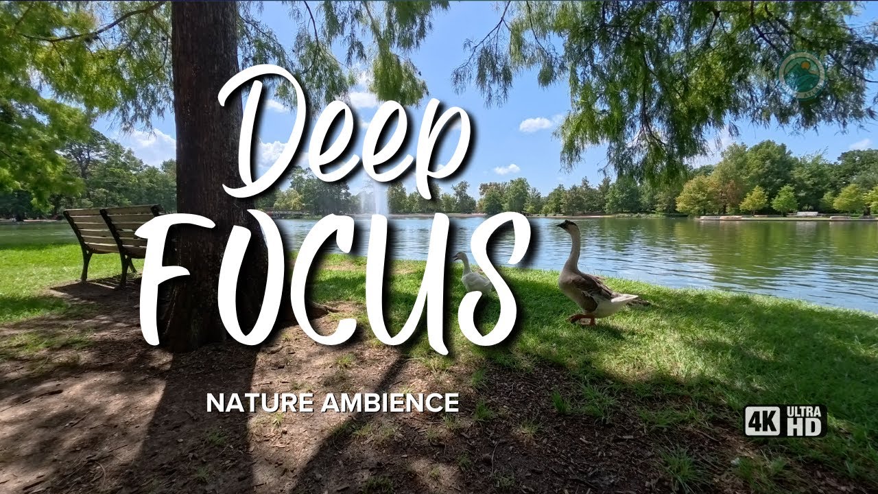 Serene McGovern Lake Morning – Your New Workspace Ambience