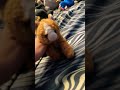 #cute #