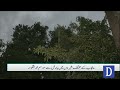 Punjab Rainfall Update | Chief Minister Orders Immediate Action | Dawn News