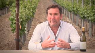 2011 Brewer-Clifton Chardonnay, 3D Vineyard