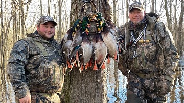 Mallards Close Enough To Touch | Full Limits Up Close and Personal | Into The Woods w/ Rusty Creasey