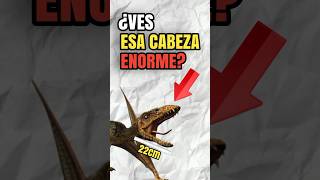 La VERDAD sobre la CABEZA del DIMORPHODON ✅