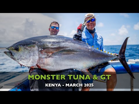 【fishing journey】カマチョ Momoi Hi-Catch Diamond Named Best Monofilament Line by Kayak