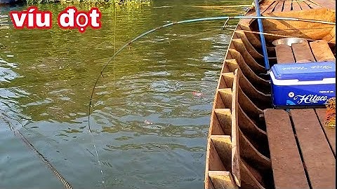 MIẾNG MỒI ĐẦU, MỞ HÀNG CON CÁ HÚ, BIẾT BỬA NAY VÔ MÁNH RỒI // FISHING