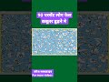 कबूतर कहाँ है ढूंढे #story_गढ़ #quiz #opticalillusion #optical