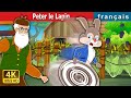 Peter le lapin  peter rabbit in french  contes de fes franais  frenchfairytales
