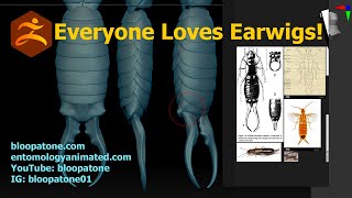 Insect and Creature Sculpting with Eric Keller: Earwig Part 4