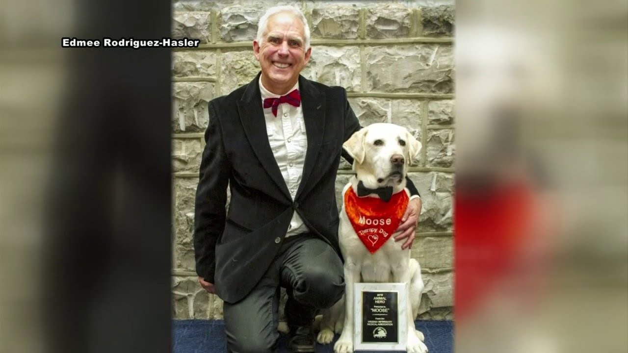 Virginia Tech therapy dog named animal hero