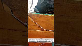 Fast Boat Hull Planking Hack! Perfect Curve Fit in Seconds 🔥