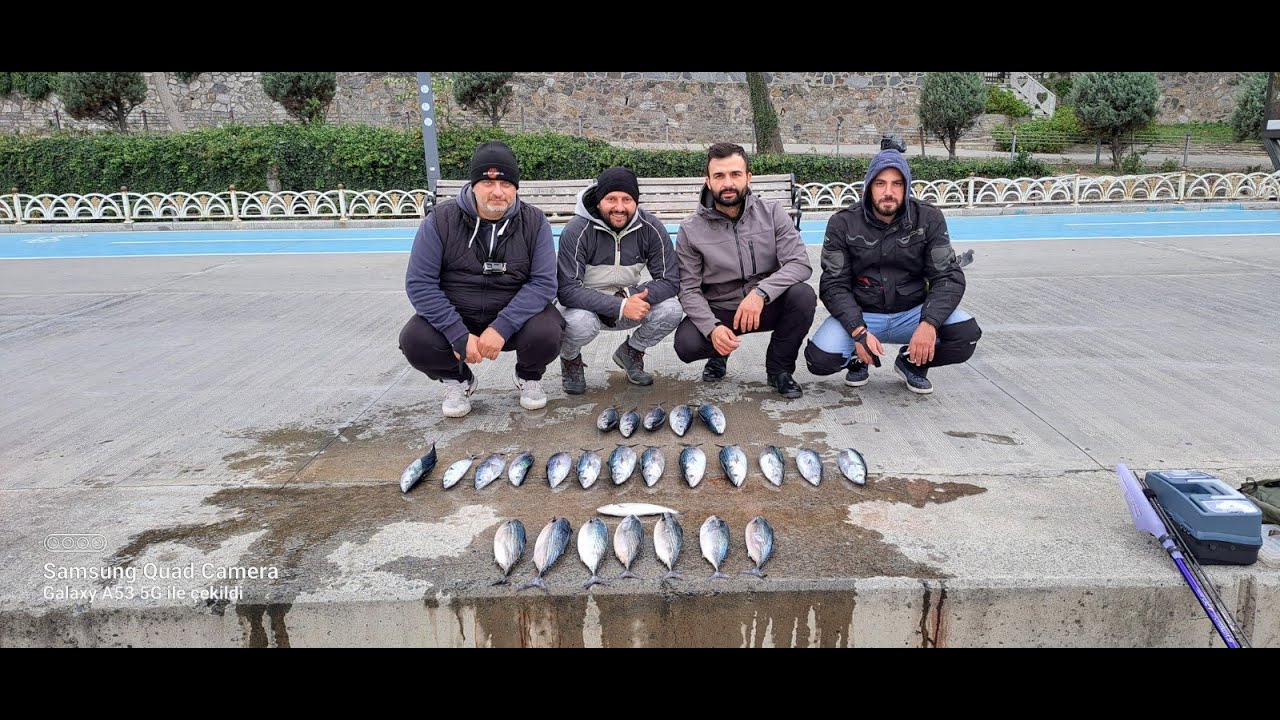 İSTANBUL BOĞAZINDA JİG İLE SPİN AVI. MUHTEŞEM BİR PALAMUT ŞÖLENİ OLDU (RUMELİ HİSARI)