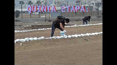 Untitled Project ‐ Made with Clipchamp 1