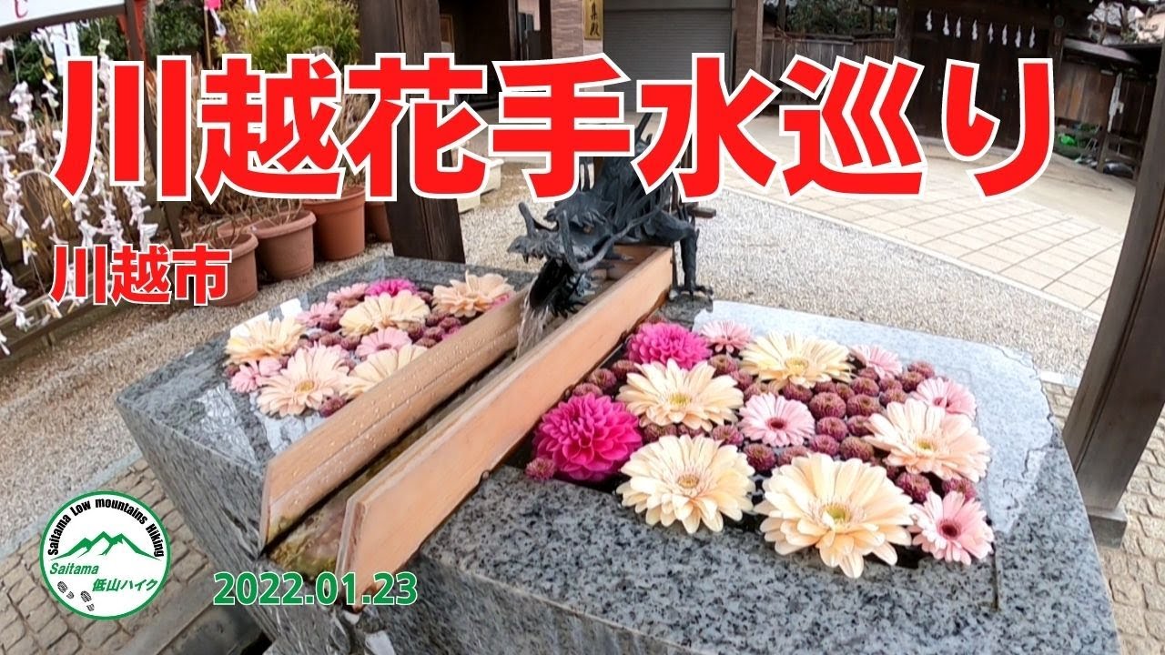 川越市 花手水巡り Youtube 川越市 花手水巡り Youtube