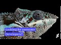 Skillenza | Enterprise