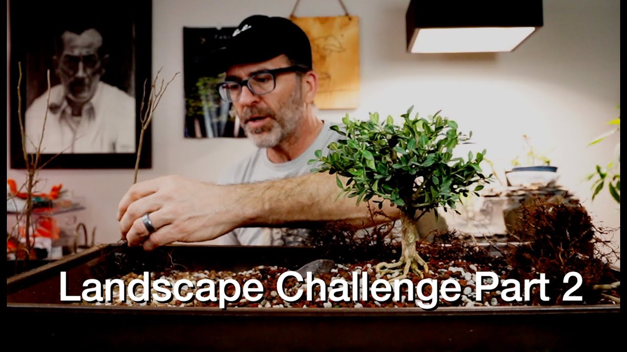 Landscape Challenge Part 2:   Dave's Bonsai E303