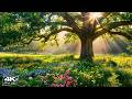 Soothing Your Mind 🌿 Relaxing Music for Stop Overthinking, Anxiety Relief, Sleep, Calm, Heal