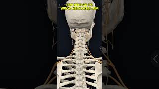 Dizziness, vertigo, mdds, bppv, vestibular dysfunction