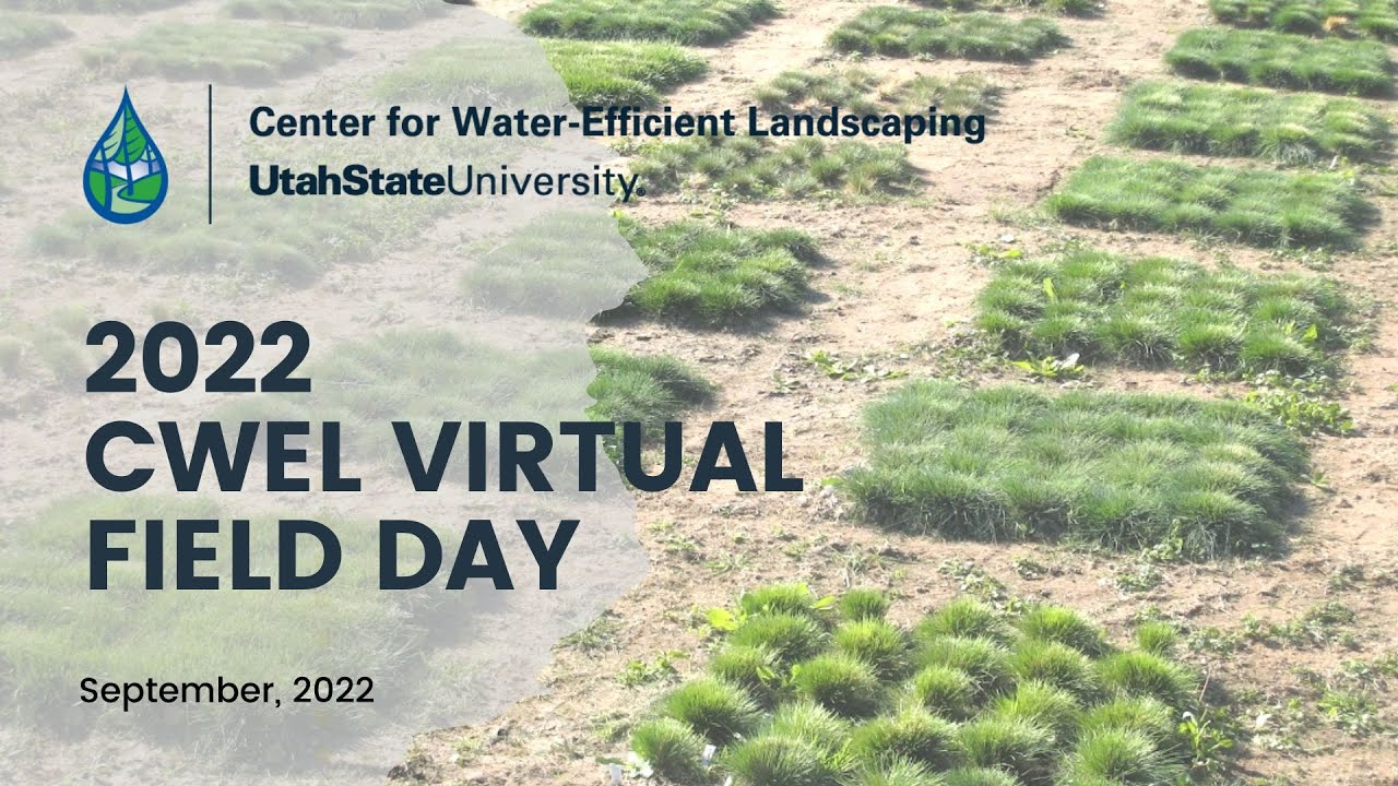 CWEL Virtual Field Day, September 2022 - YouTube
