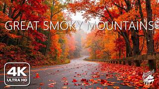 Great Smoky Mountains Fall 4K 🍁 Brilliant Fall Foliage & Misty Mountain Views