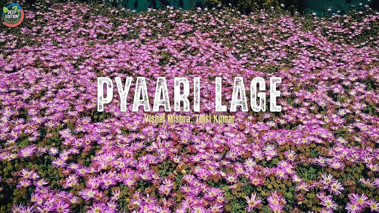 Pyaari Lage | Vishal Mishra, Tulsi Kumar | (Slowed + Reverb ) | ( LYRICS ) #pyaarilage #border2